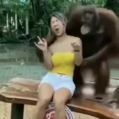 Pov: aparece orslok en el directo de Aby