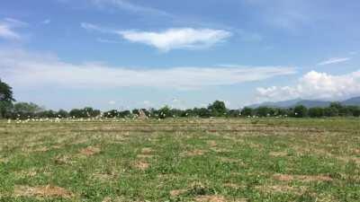 Buhay na Buhay na si Inang Kalikasan sa Kanayunan