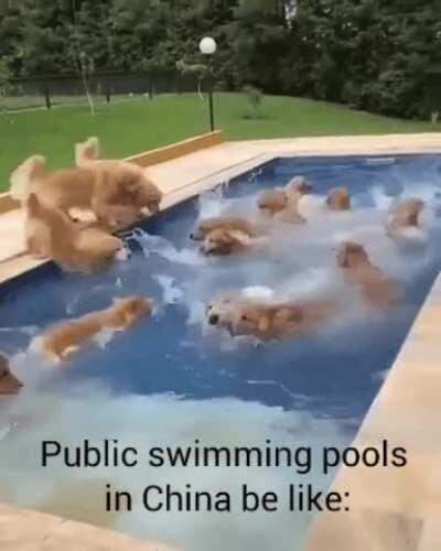 Gotta fight for personal space