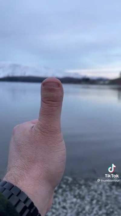 Basta por favor 😭