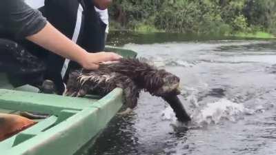 I like playing with water just like that.