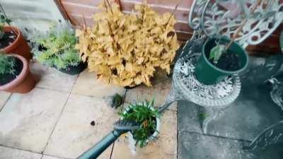 Where your dead body floats off too (animation)