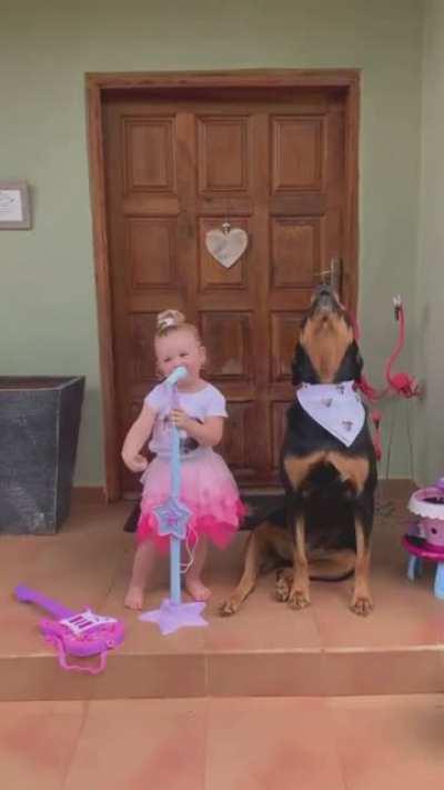 Meet he newest band member: doggo