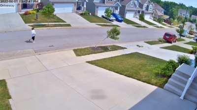 Idiot lady leaves car in neutral and as a result 3 trees died~ 🤦‍♂️