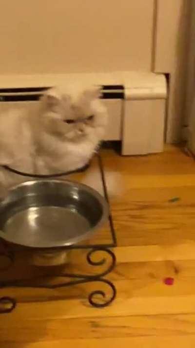 Be the bowl. I am the bowl.