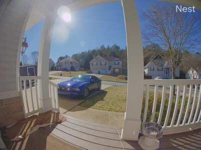 You know times are getting rough when the neighbor’s dog resorts to thievery