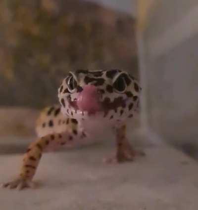 Mlem
