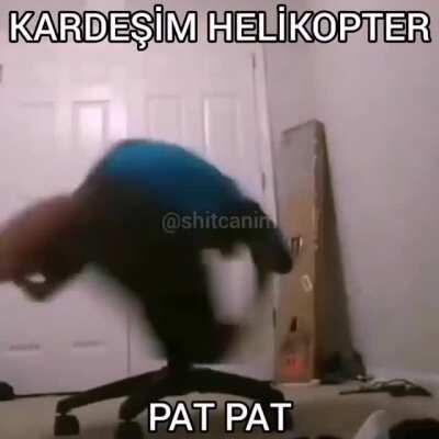 Pat pat