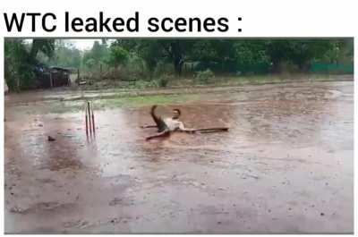 Not good with titles