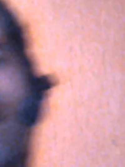 Well this will make you laugh.