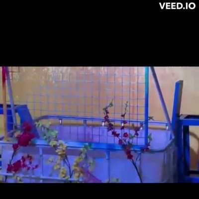 Scene at a Lo to show