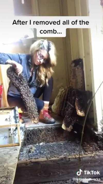 Спасает бедных пчёлок