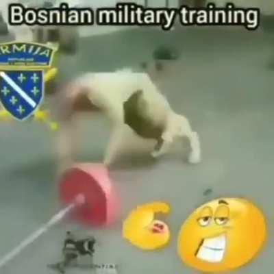 Bosnia is blonde haired pure