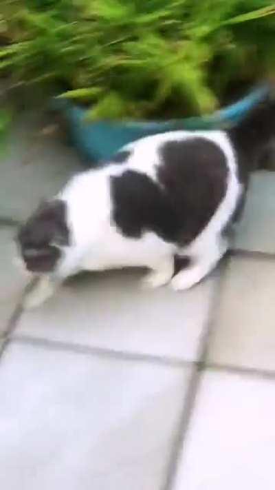 How flexible Piggy is!!