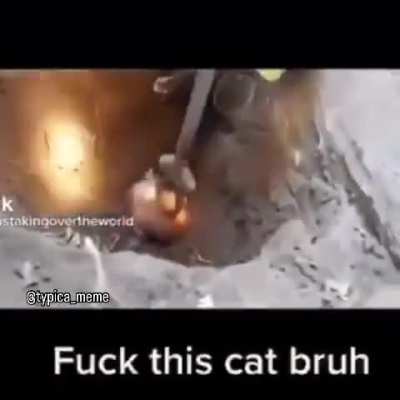 Noeooehwgedksitjshay