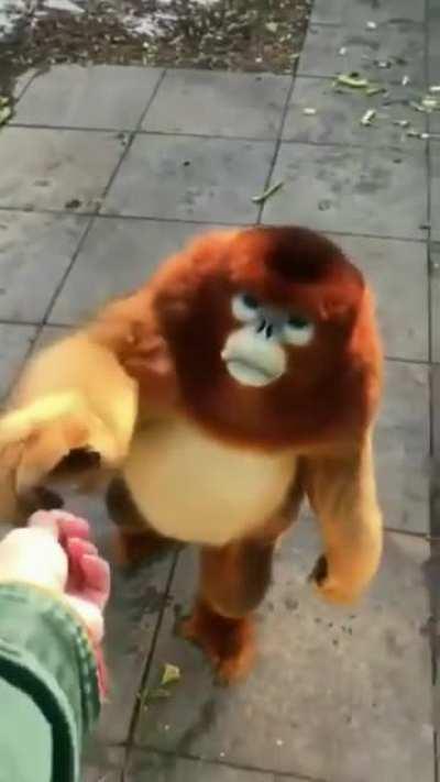 Any more of those stonks?