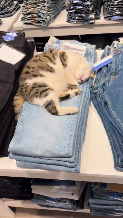 A very tired worker spotted in a clothing shop in Turkey