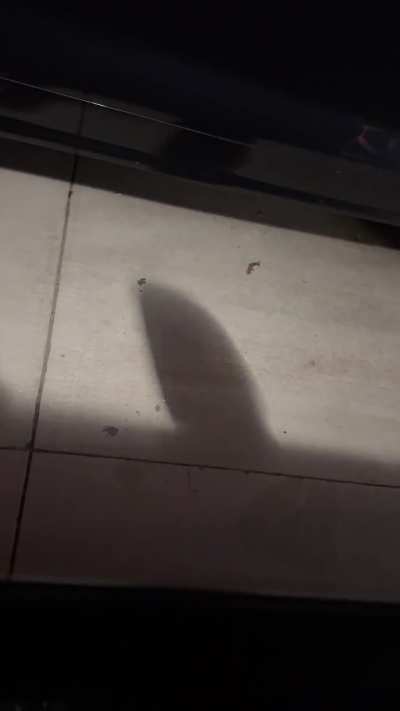 Sound when switching from R to D - A4 B9 S-Trinidad