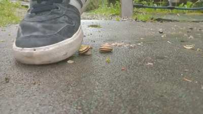 My favorite walkover of 2021