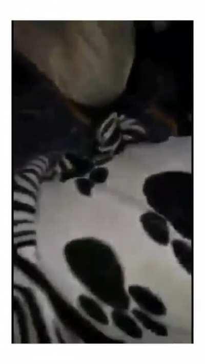 kids drawing on his mother's face with a marker