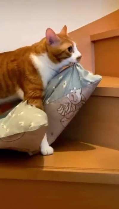 The brain cell does not want to be disturbed