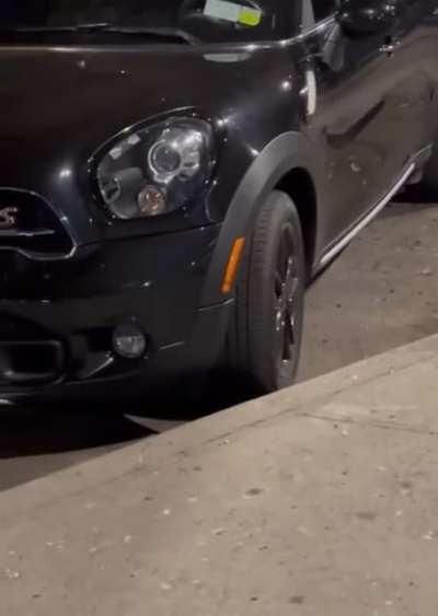 A rat carries off a pigeon it caught