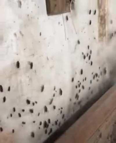 Thanks, I hate bugs.