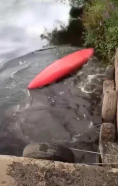 Launch into the lake. Literally.