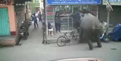 Why is everyone running for safety