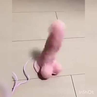 El vibrador de los de discord: