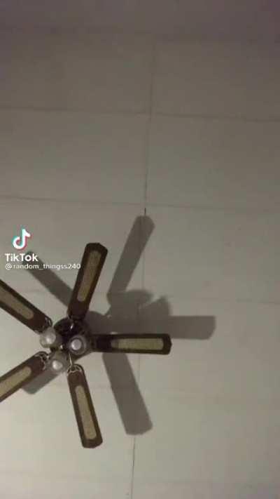 Why aren't you vegan yet~?