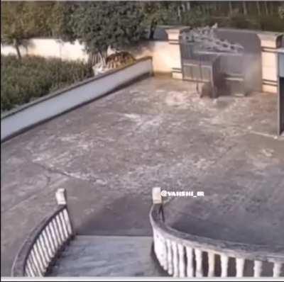 Me: enjoying my full shields Boars: