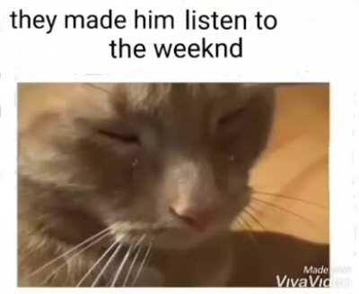 Hope this hasn't been done yet