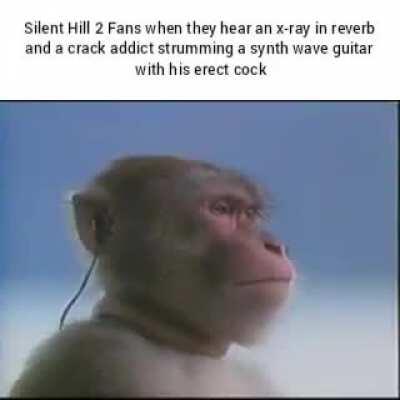 The music doesn't fit the meme that well, but I just wanted a reason to use my favorite track from SH2 in a meme