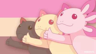 When someone tells me taking care of an axolotl is easy. (CW: Strong language)