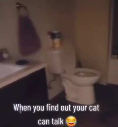 I know they can speak, they just don’t want to pay taxes