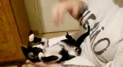 So dangerous. Might lose my hand.