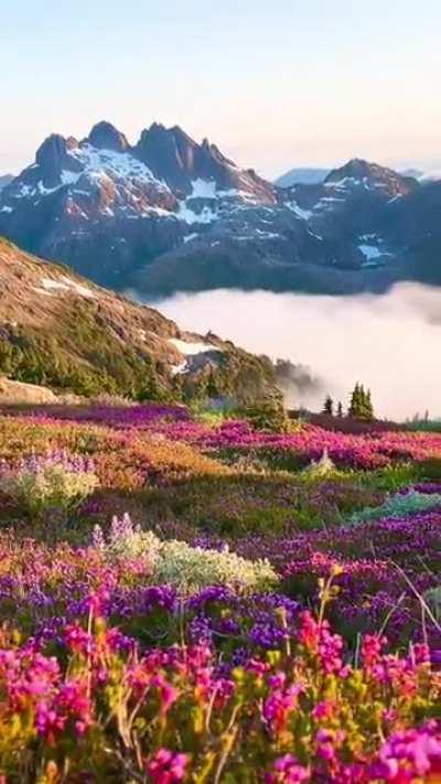 A delight for the eyes.