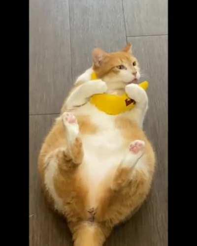 Oh, I love this thing so much...