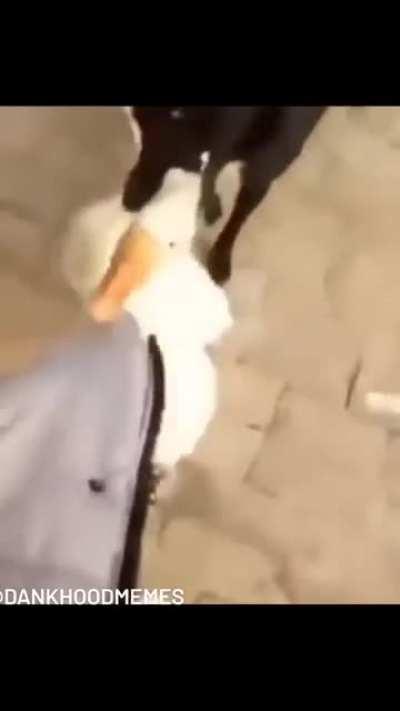 Peace was never an option