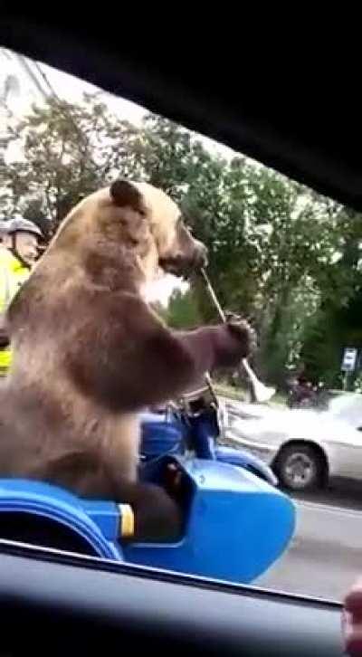 Just another day in Russia!