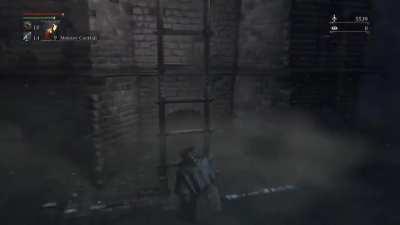 I think my hunter is drunk