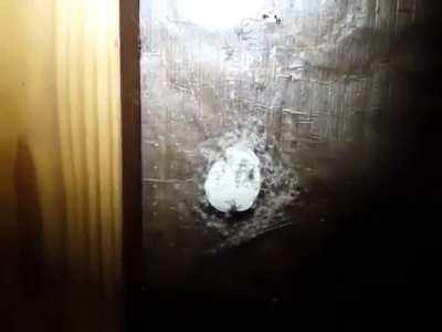 This is a whole pack of nk