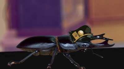 Stag Beetle Fight in Jojolion leaked!
