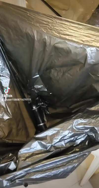 I just need the right motivation😇