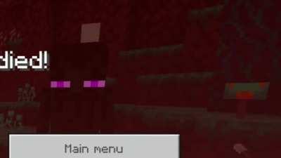 Can I address how disrespectful this enderman was