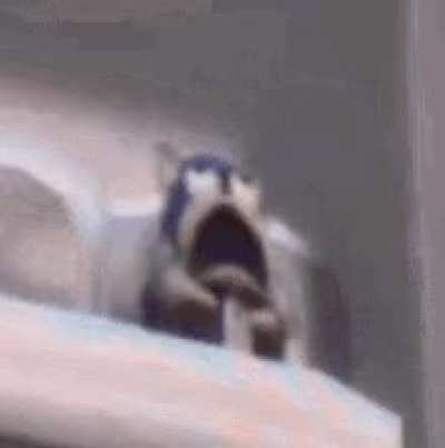 The horrors beyond your comprehension when the horrors within your comprehension walk in: