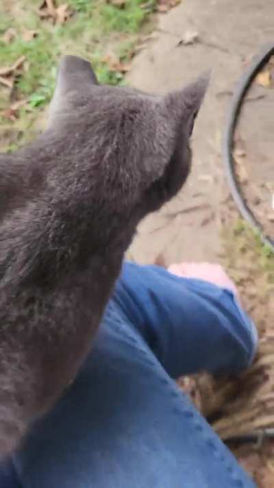 Hawkeye - she's just like that