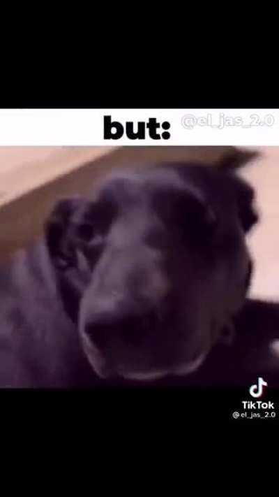 This gave me terminal laugh 3💀