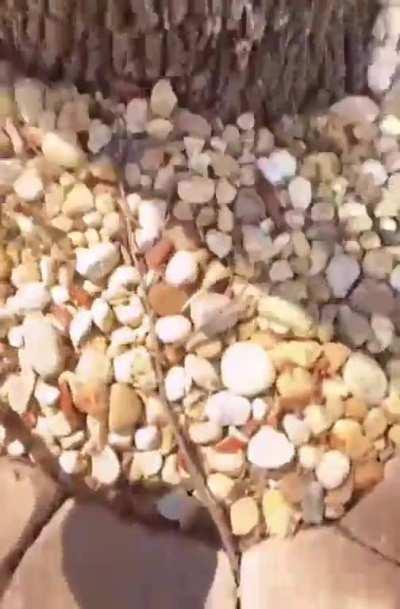 Hello! I joined this beautiful community very recently and I hope to be a good part of it! You can watch this video of mine here!